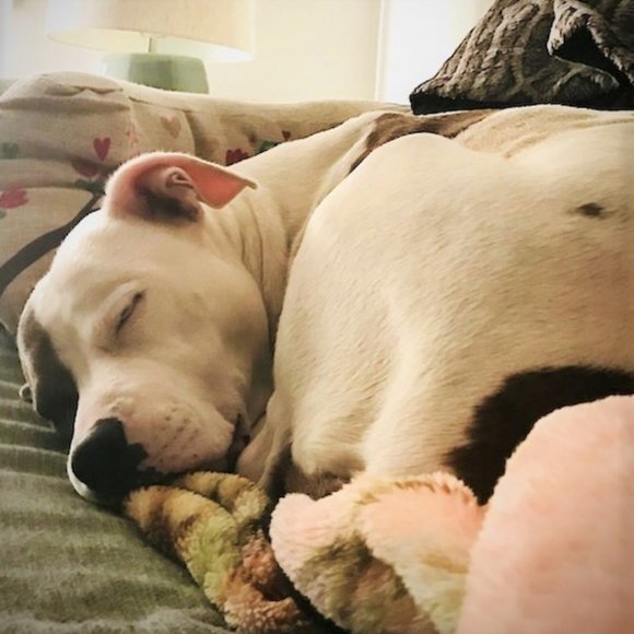 Meet your Posher, DeAnn - Picture 6 of 7